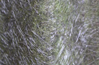 Stoneacton fibreglass roof work